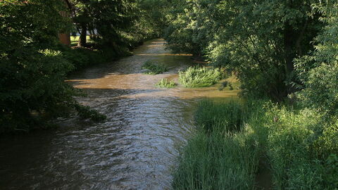 Ein Fluß im Sonnenschein, bräunliches Wasser, am Ufer Bäume