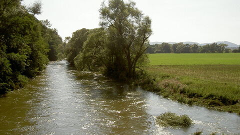 Fluss Eder grüne Wiesen bedeckter Himmel