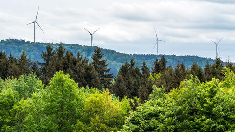 Weitblick mit Wald und Windkraftanlagen in der Ferne