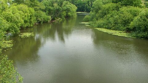 Fluss Fulda grüne Wälder