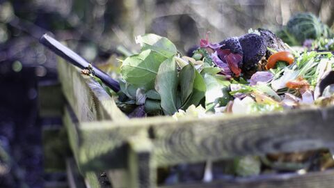 Bioabfallverordnung Kompost