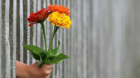 Stiftungen Es werden Blumen durch einen Zaun gereicht.