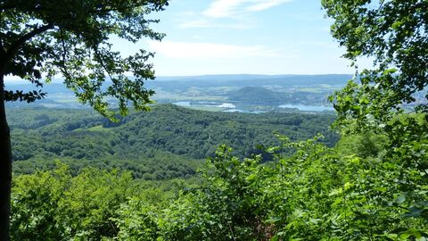 Förderung von Landschaftspflegeverbänden grüner Wald