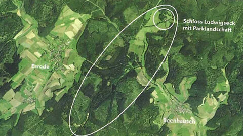 Parkwald im Maluchstal Parkwald im Maluchstal