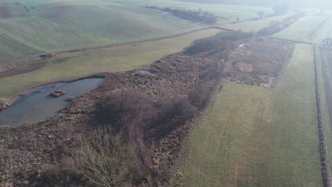 Fluss, Gebüsch, Wiese