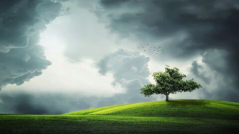 Landschaftsrahmenplan grüne Wiese, Laubbäume, Sonnenschein mit Quellwolken