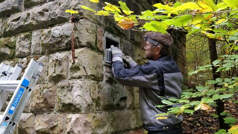 Ein Mann arbeitet am Eingang des Fledermauseinflugs.