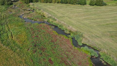 Drohnenaufnahme von der renaturierten Gers