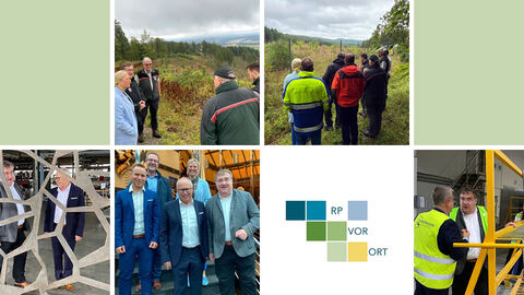 Collage aus Bildern des Tages.