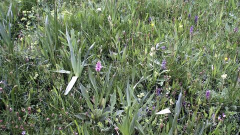 Erhalt schützenswerter Lebensräume