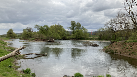 Ein im Vorgängerprojekt renaturierter Bereich der Eder 
