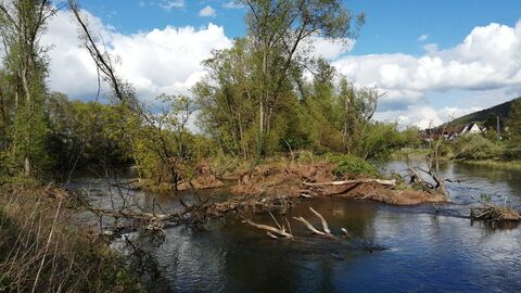 Angebundener Kiessee mit Uferabbrüchen und Sturzbäumen 