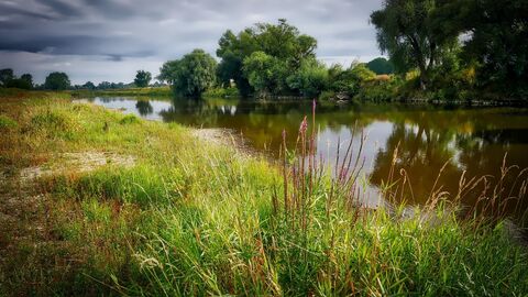 Naturbelassener Fluss Naturbelassener Fluss