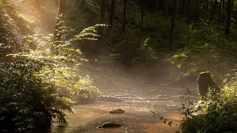 Oberrieder Bach