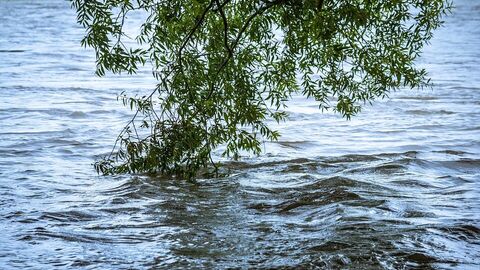 Überschwemmungsgebiet Ahna High Water