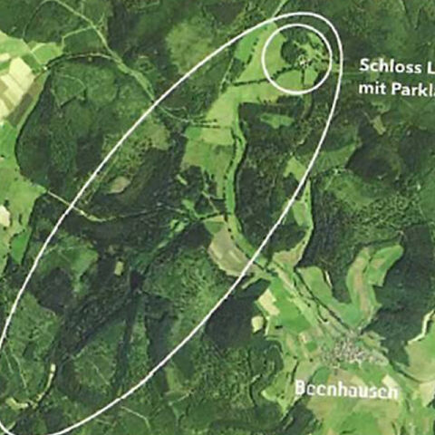 Ein Wald in einem Tal