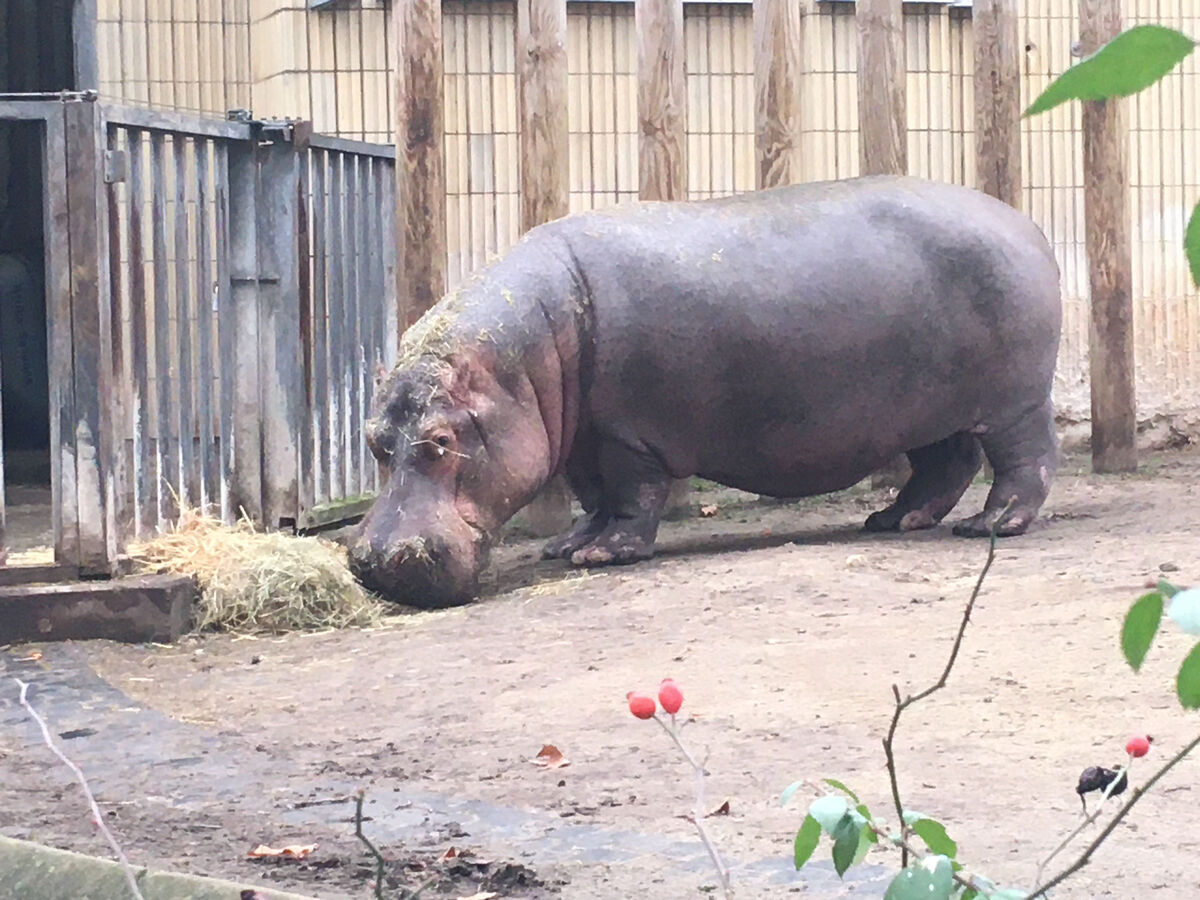 Zoos im Regierungsbezirk Kassel rpkassel.hessen.de